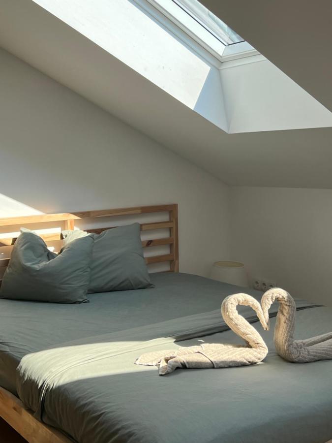 Sonnige Und Ruhige Wohnung Fur Entspanntes Reisen Viyana Dış mekan fotoğraf